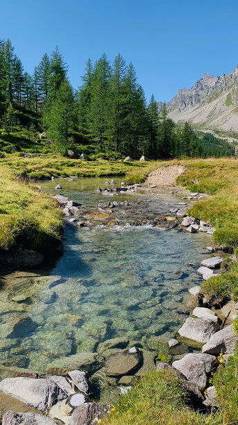 意大利阿尔卑斯山美丽的山地风景，溪流和落叶松树林。竖版照片。图片下载