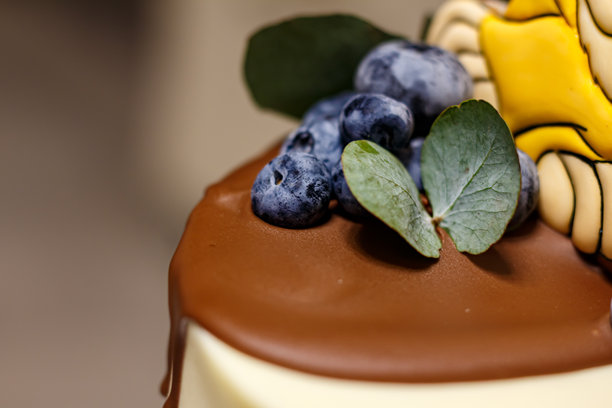 带有巧克力糖霜、蓝莓和绿色叶子装饰的蛋糕 - 节日甜点的特写照片图片下载