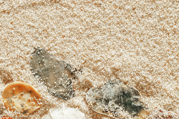 米色沙滩上的极简美学贝壳图案，自然海洋和夏季质感背景，夏季放松，俯视照片中有精致的柔和色彩贝壳，休闲海滩壁纸图片下载