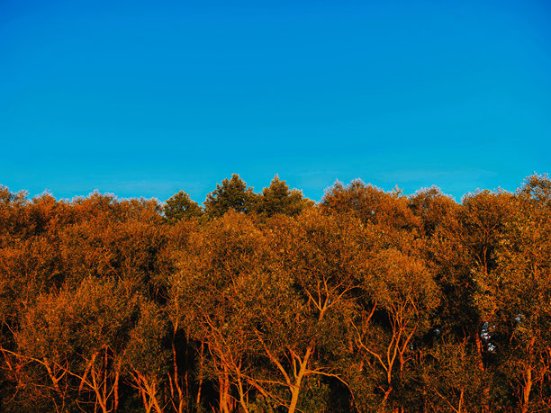 日落，海岸，美丽，美学，太阳，水，海洋，湖泊，倒影，光线，日落时，帆船，自然，风景，天空，明亮的照片，阳光明媚图片下载