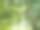 2025年夏季在佛罗里达中部户外郁郁葱葱的植物和树木的胶卷照片图片下载