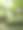 2025年夏季在佛罗里达中部户外郁郁葱葱的植物和树木的胶卷照片图片下载