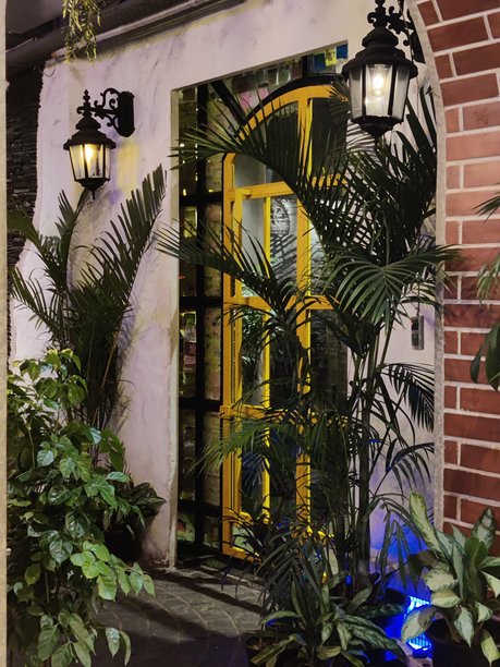 别致的室内环境，配有植物和壁灯 - 高清库存照片图片下载