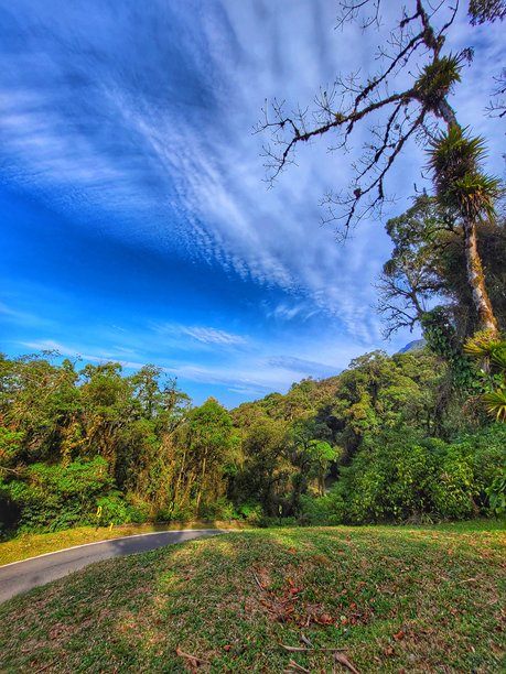 巴西巴拉那州莫雷特斯的格拉西奥萨大道风景。照片捕捉到一条蜿蜒的道路，周围环绕着郁郁葱葱的大西洋森林，热带树木与湛蓝的天空和白云相映成趣。图片下载