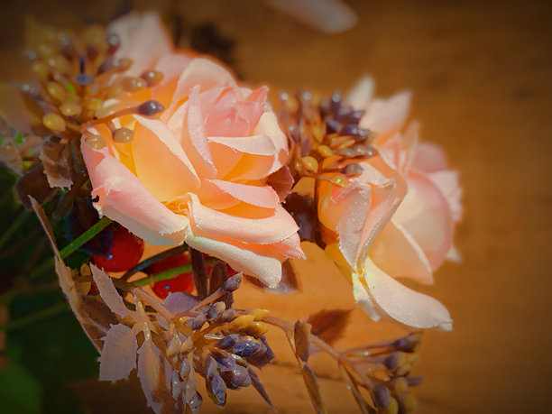 一张美丽的花朵照片，蕴含着爱的精髓。图片下载