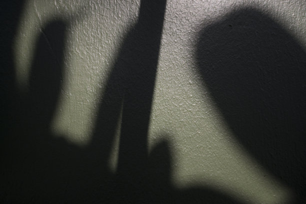 公园中绿色墙壁上的树叶阴影，特写照片图片下载