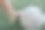 一只脚靠近一只旧足球，站在绿色草地上的特写镜头捕捉了儿童游戏和夏季休闲的精神。这张照片非常适合展示运动、童年、积极休闲和户外游戏的主题。图片下载
