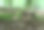 一朵生长在苔藓覆盖的树干上的蘑菇营造出一种野性自然和童话般的氛围。这张照片非常适合用来展示与自然、生态、植物学和森林生态系统相关的主题。图片下载