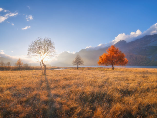 秋季风景。夕阳下阳光透过树木。大自然。山谷的壮丽景色。适合用作背景、壁纸或明信片的照片。图片下载
