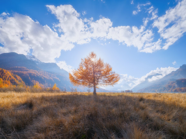 秋季风景。夕阳下阳光透过树木。大自然。山谷的壮丽景色。适合用作背景、壁纸或明信片的照片。图片下载