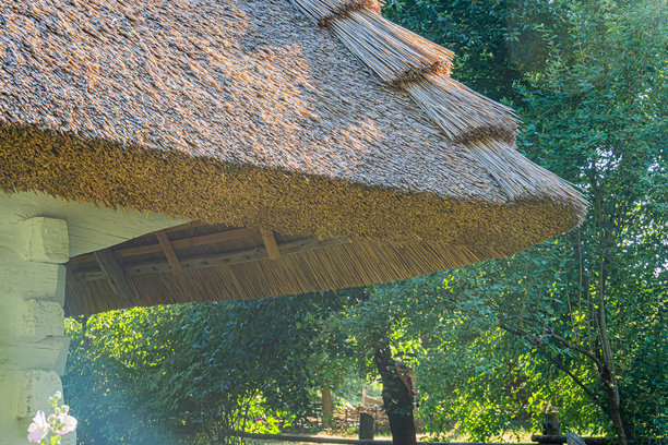 中欧村庄，茅草屋顶建筑，户外环境，白天，自然材料稻草，纹理表面，绿树成荫，标准照片，白天。图片下载