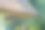 中欧村庄，茅草屋顶建筑，户外环境，白天，自然材料稻草，纹理表面，绿树成荫，标准照片，白天。图片下载