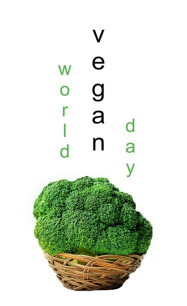 世界素食日概念。西兰花。蔬菜照片组合，孤立的碎片图片下载