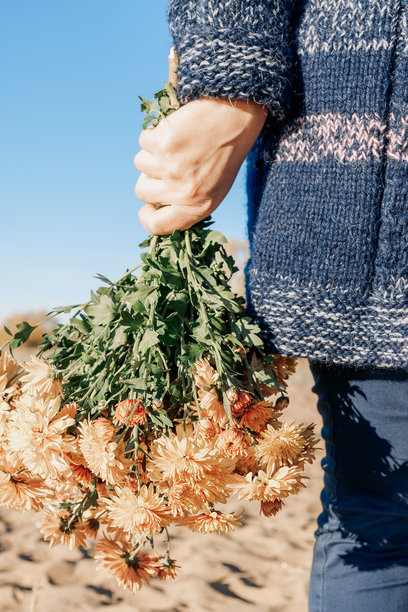 女性手持花束，在温暖阳光明媚的秋日户外。竖版照片图片下载