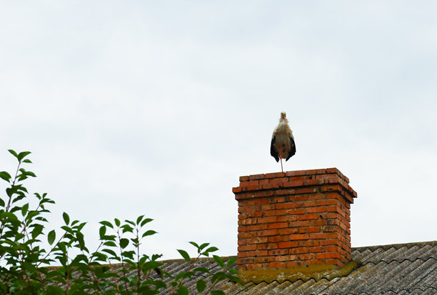 一只骄傲的鹳站在一座老房子的烟囱上，准备起飞。这张照片象征着传统、归乡以及野生动物与人类居所之间的自然联系。图片下载
