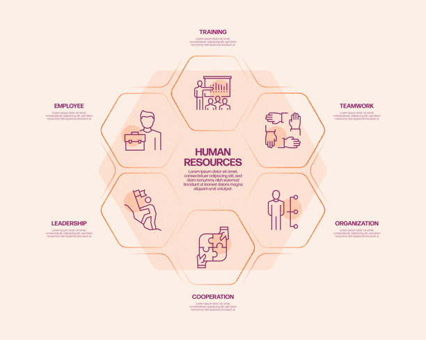 人力资源信息图表模板，元素和图标。简单的矢量信息图设计图片下载