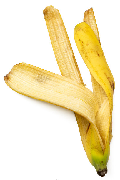 高分辨率相机拍摄的金色巴拿巴新鲜照片，采用焦点堆叠技术，背景为白色。图片下载