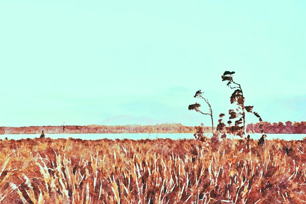 水彩画中的树木和剑麻风景插图图片下载