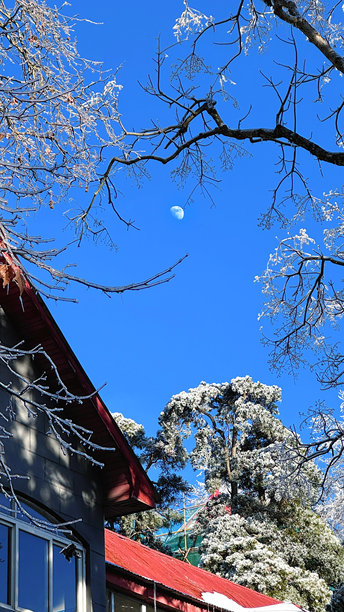 庐山风景图片图片下载