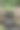 阳光明媚的日子里，森林中的石头瀑布。高质量照片图片下载