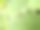 村庄花园中小昆虫的多种微距照片图片下载