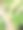 村庄花园中小昆虫的各种微距照片图片下载