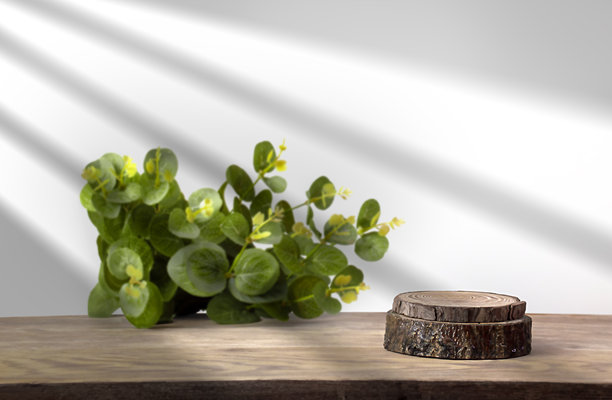 带有绿色植物的浅色背景广告素材图片下载