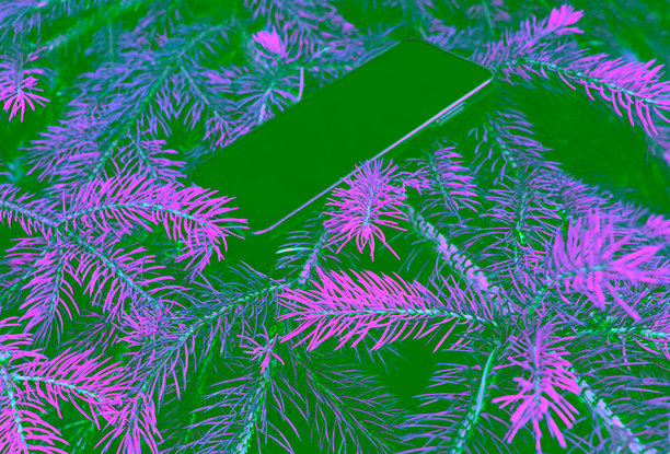 关于节日选择礼物的插图照片图片下载