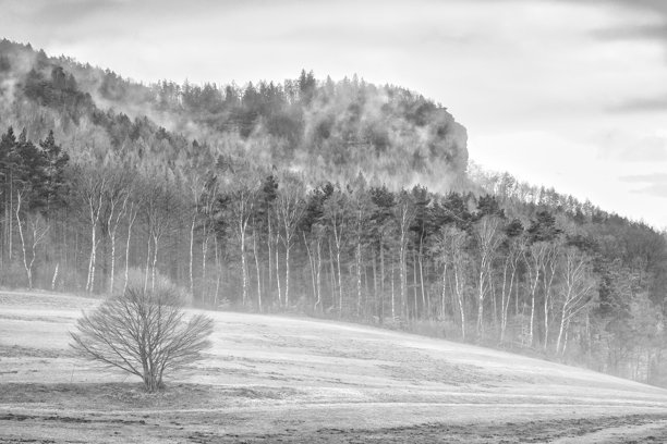 黑白照片展示了一片开阔的风景，包含一片田野和一座林木覆盖的小山。图片下载