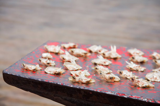 小鱼，干制，是一种食品保存方法。图片下载