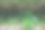 一张清晰的微距照片，展示了一条小溪流经森林的景象。前景中鲜亮的绿色草坪与深色的水面和倒影形成对比，营造出一个生动自然的场景。图片下载