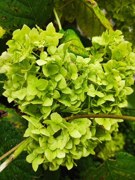 雨天自然风景图片图片下载