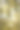 公园里的秋天。高大的树木下散步。秋季照片墙纸的背景。美丽的自然景观。秋天的树木和落叶。图片下载