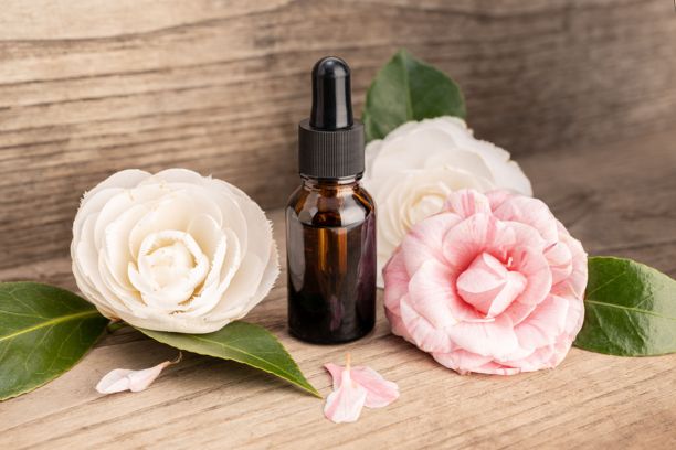 山茶花精油静物。琥珀色瓶子和山茶花放在乡村风格的木桌上图片下载