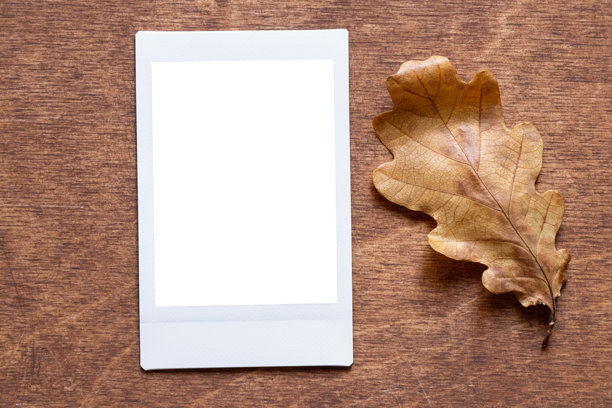 空白的白色即时照片模板放在木桌上，旁边有一片黄色的橡树叶，作为样板使用。图片下载