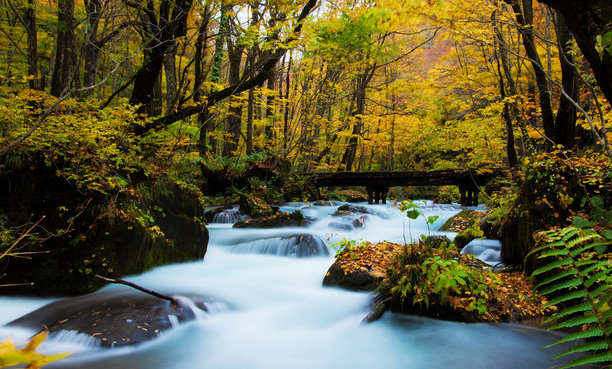 美丽的日本风景图片图片下载