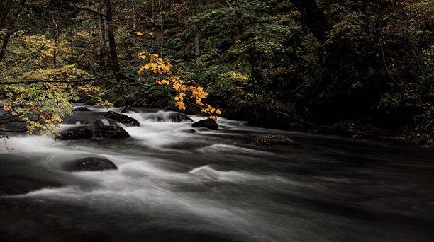 美丽的日本风景图片图片下载