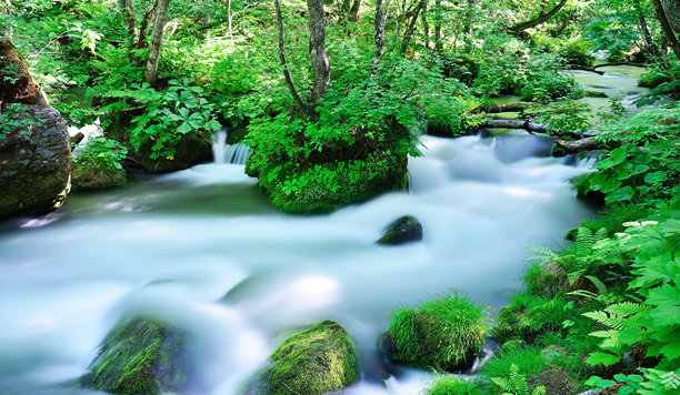 美丽的日本风景图片图片下载
