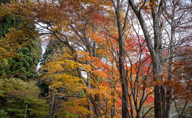 美丽的日本风景图片图片下载