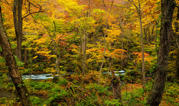 美丽的日本风景图片图片下载