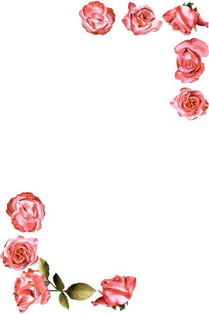 A4格式的水彩画板，边缘装饰有玫瑰花和叶子。非常适合用作背景、邀请函等。图片下载