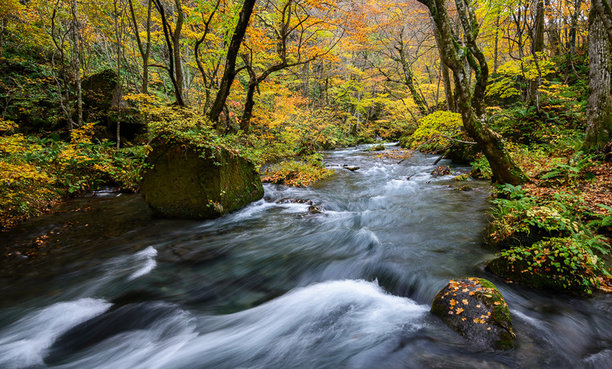 神奇的日本图片图片下载