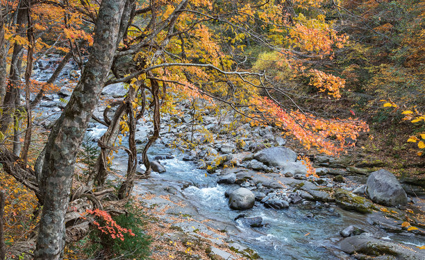 神奇的日本图片图片下载