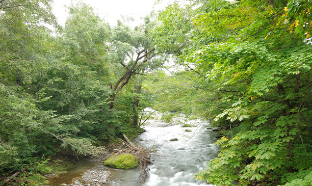 神奇的日本图片图片下载