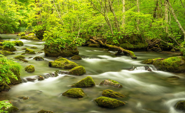 神奇的日本图片图片下载
