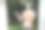 男孩在户外玩水枪，身上覆盖着泡泡图片下载