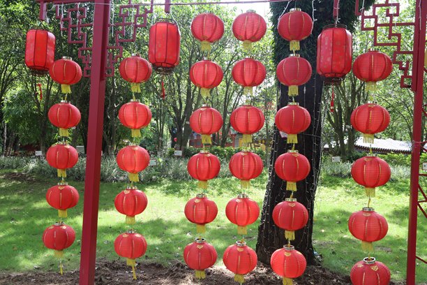 前面树上挂着大量红灯笼，背景是一个绿草如茵、树木繁茂的中国风格园林公园。图片下载