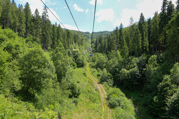 一条缆车穿过茂密的山林，邀请您踏上迷人的旅程。这张图片传达了一种冒险和户外休闲的感觉，展现了科技与周围环境的壮丽和谐融合。图片下载