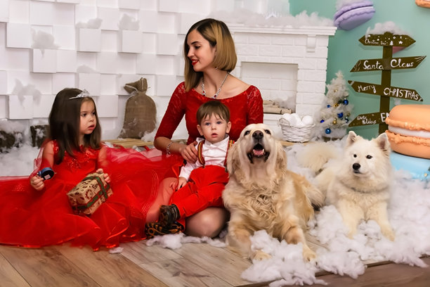 家庭照片肖像。妈妈和她的两个孩子以及两只穿着红色衣服的白狗在庆祝圣诞节和新年。快乐的年轻妈妈与她的女儿、儿子和狗在温馨的黑暗客厅中度过圣诞前夜。在家庆祝圣诞节。冬季的晚上。图片下载