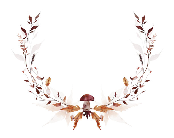 水彩秋季圆形花环对称框架。橙色、米色、酒红色的秋枫叶、蘑菇和野生树枝。图片下载